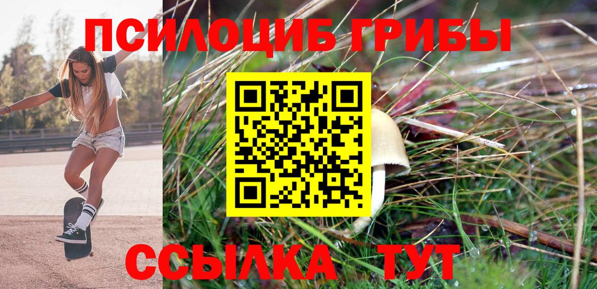 Галлюциногенные грибы Magic Shrooms Дивногорск