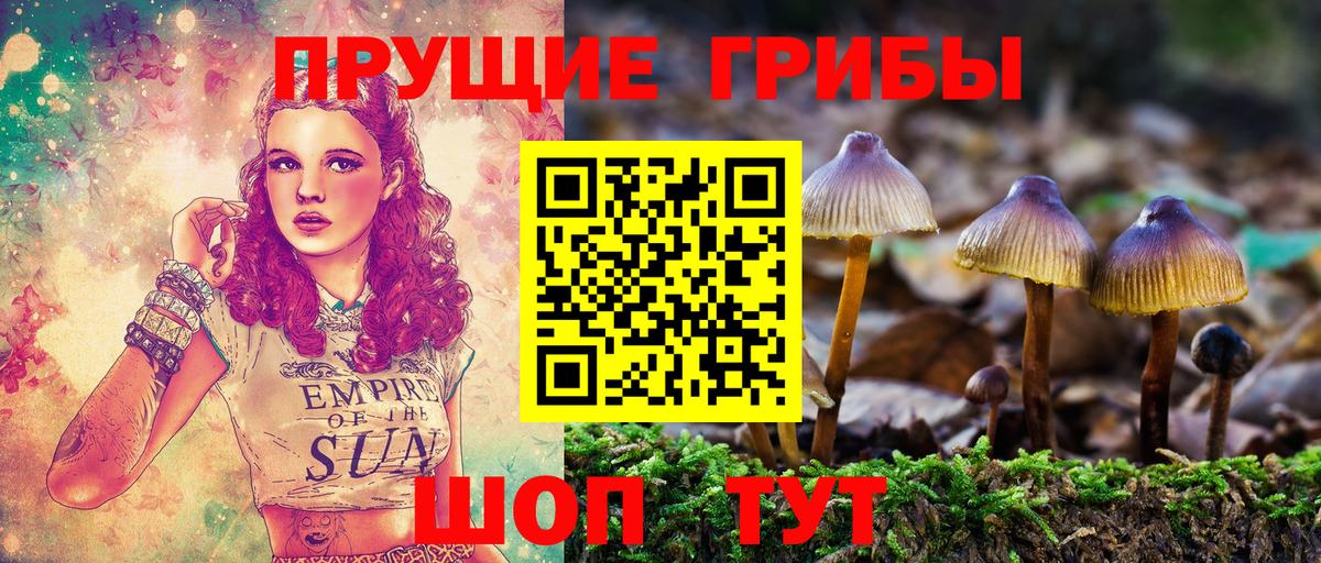Галлюциногенные грибы Psilocybe  Псилоцибиновые грибы Cubensis  Дивногорск  Вход с VPN 